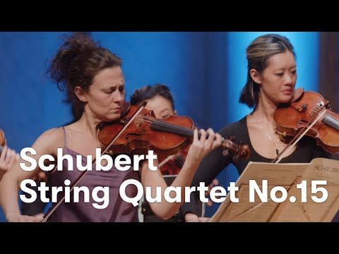 Schubert: String Quartet No. 15 in G-major, I. Allegro molto moderato
