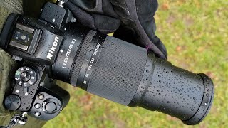 Best Cameras for Beginners & Pros in 2025 (Top 5 Picks)