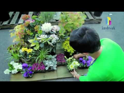 Walkthrough Walkthrough