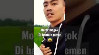 Download lagu viral sawah mp3 Download lagu viral sawah mp3