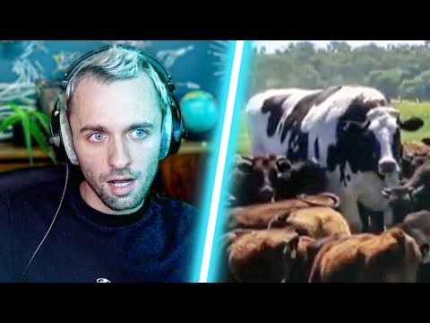 ici tout est impressionnant