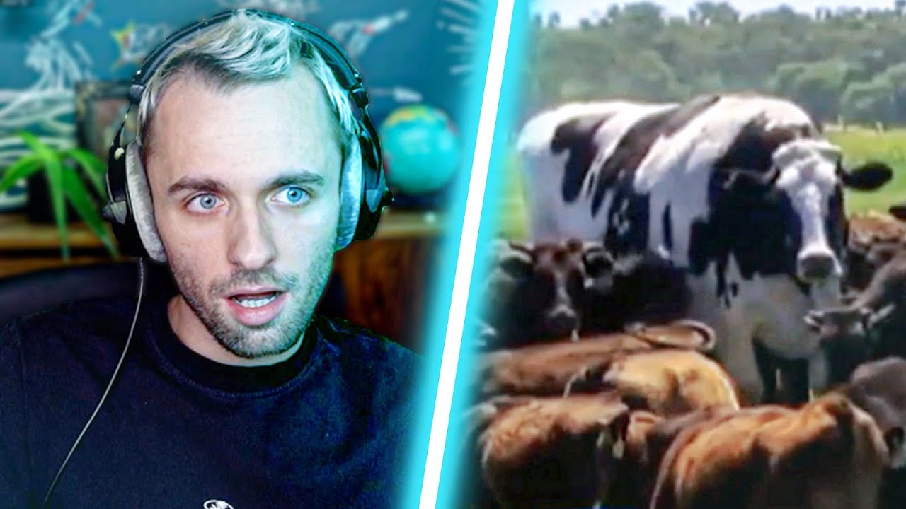 ici tout est impressionnant thumbnail