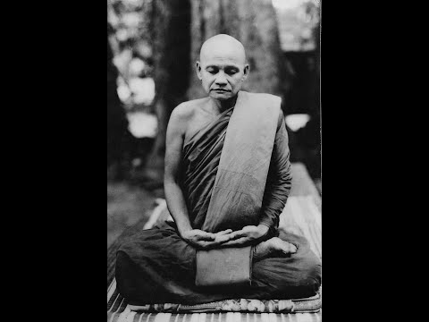Ajahn Chah Reading | Ajahn  Ñāniko