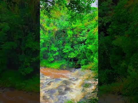 #mochila7#mochilando#brasil#saopaulo#brotas#cachoeira#dicasdeviagem