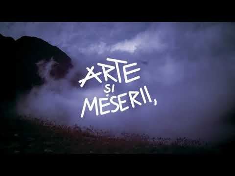 Robin and the Backstabbers - Arte si meserii (Lyric Video)