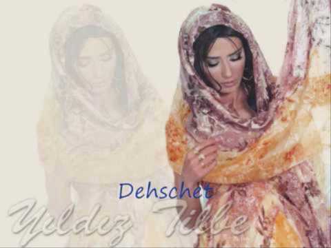 Yildiz Tilbe - Bu Evde Sen'le (DJ B-STYLE REMIX)