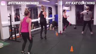 Lasses That Circuit