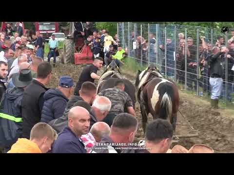 Danijel Topalović (Dva Rubina) VOŽNJA U LAKOJ - ČELIĆ 2023