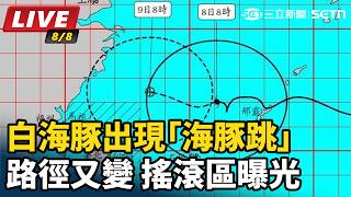 白海豚出現「海豚跳」路徑又變！搖滾區曝光
