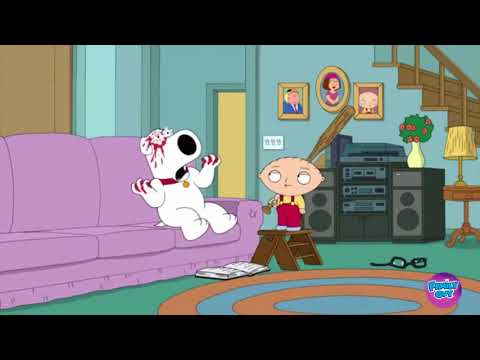 Stewie le rompre los lente a Brian (Padre de Famlia)