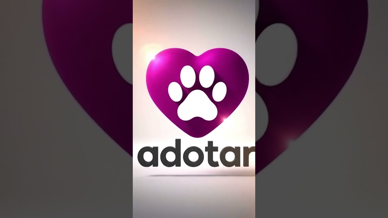 Cachorro raça SRD-ViraLata idade 2 a 6 meses nome pitty/tobby