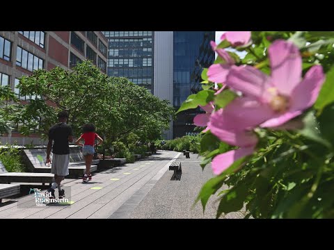 How Diane von Furstenberg Helped Save NYC's High Line