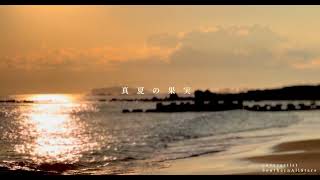 真夏の果実　弾き語り　カバー