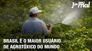 Miniatura do vídeo