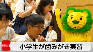 「全国小学生歯みがき大会」過去最多の約32万6000人が参加