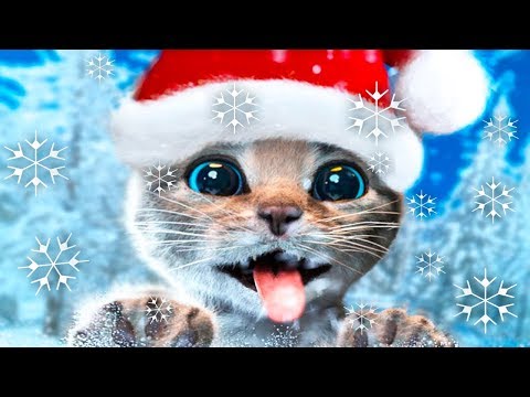 Play Fun Costume Dress-Up Party & Pet Care Kids Game -Little Kitten Adventures By Fox and Sheep GmbH