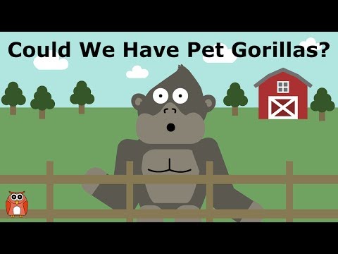 Animal Domestication - Why Some Animals Can't Be Domesticated