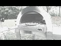 Platinum Plus Wood Fired Pizza Oven