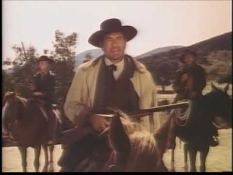 Walter Brennan as Will Sonnett