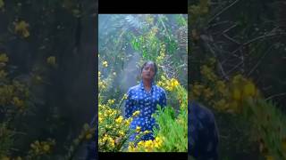 Download lagu oru rathrikoodi vida vangave#whatsappstatus mp3