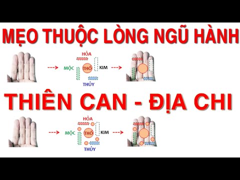 Mẹo thuộc lòng ngũ hành Thiên can - Địa chi | Cách nhớ nhanh Trong Lòng Bàn Tay (Phần 2)
