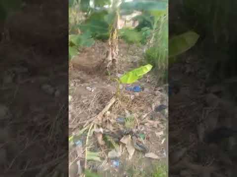 Land for sale @Aboru iyanapaja, after Edun, for 6m