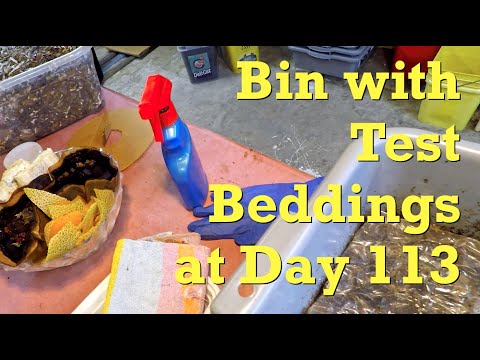 Twine at 95 days & cotton at 85 in red wiggler worm bin - vermicompost