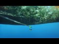 Finding Nemo Lost The Mask In Portuguese