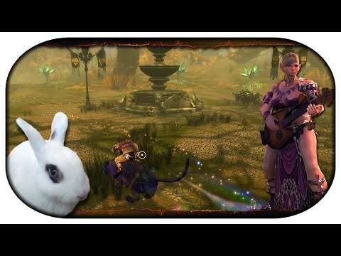 NEVERWINTER: Mit Sang und Klang durch Faerun 🎸 30 - Anmachtipps mit Tito und Kata