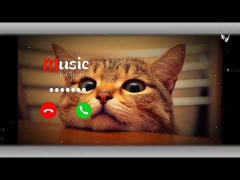 SMS RINGTONE PHONE || NOTIFICATION RINGTONE 2024 || #mp3ringtone  #mp3ringtone #slowedandreve