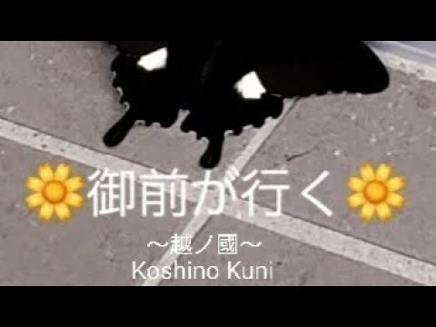 子ども教育学科 【ジングル サンプル🌼 御前が行く】プレゼンター越ノ國 御前 こしの くに ごぜん Koshino Kuni Gozenが自由気ままに出向いた先のものを ご紹介していく番組