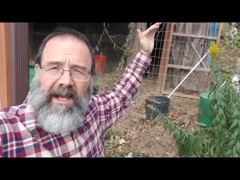 Surprises and updates from zone pushing in 7a