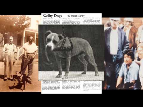 Indian Sonny | The Colby Dogs