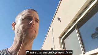 פירות הדר - אין כמו לאכול תפוז ישר מהעץ