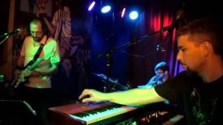 The Z3 / Absolutely Free - Pygmy Twylyte - Flower Punk (Frank Zappa covers)