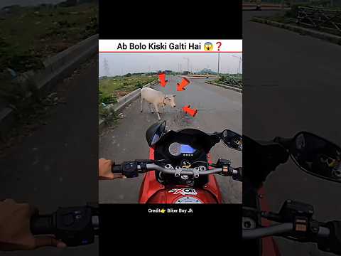 Please Pray For Cow 🥺