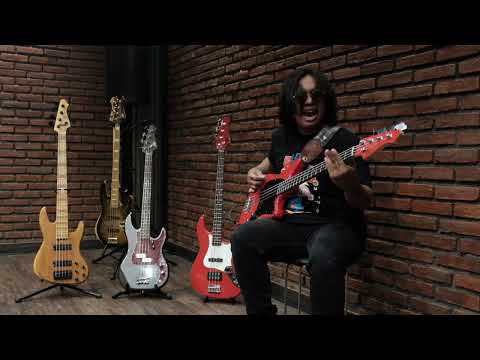 FAD Guitars - Dazed (Wallaby Project) 🎧 - Pison Harry