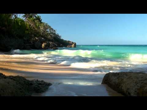 Lala Presents Miss You Like Crazy