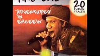 KRS-ONE Feat Nas - The Real Hip-Hop