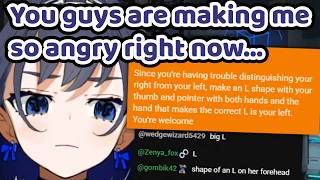 Kronii Has Never Gotten SO MUCH DISRESPECT From a Viewer Before Because She Did This