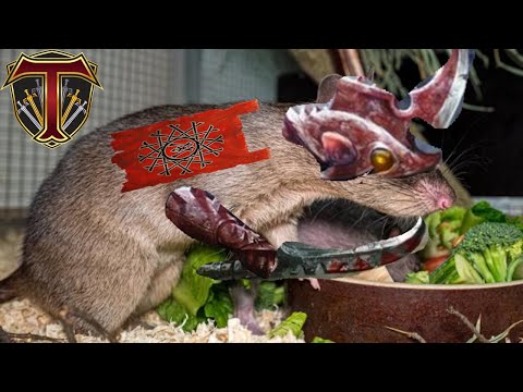 RISE Stormvermin, RISE! Skaven vs Empire - Total War Warhammer 3