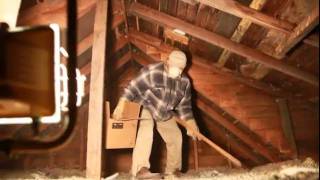 Onecimo Hunts Pigeons.mov