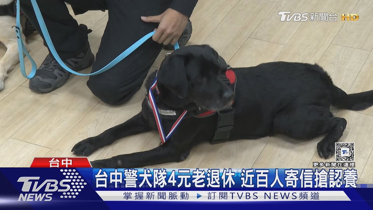 台中警犬隊4元老退休 近百人寄信搶認養