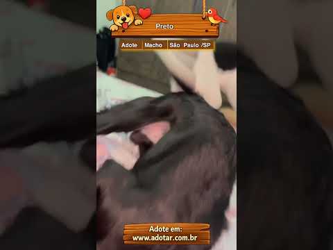 Vídeo de Preto 