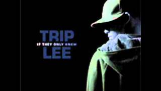 Trip Lee - Follow The Crowd