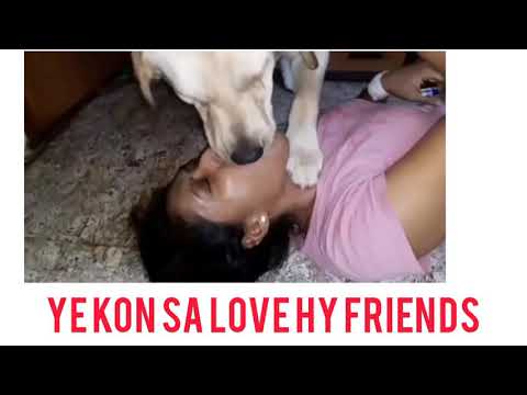 rimsha info subscribe