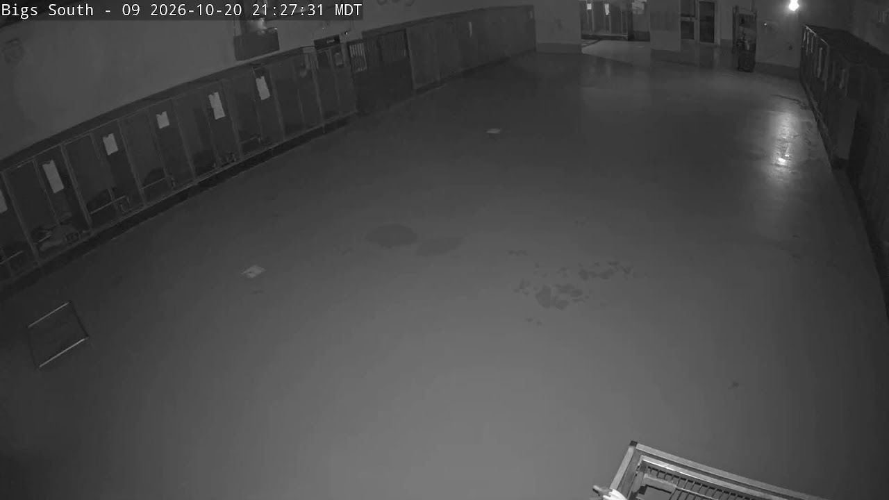 Vista en directo de la webcam Sala de Juegos Interior Sur DogMode
