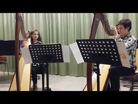 Vivaldi andante e-moll harp duo