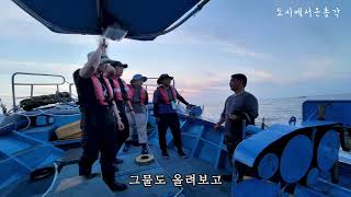 제주도 귀어를 생각하는 분들이라면 꼭 보세요