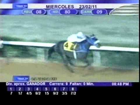 Resumen Miércoles, 23 de Febrero de 2011 - Santa Rita